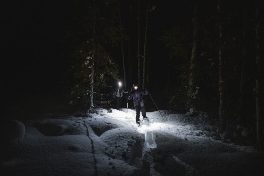 Guests snowshoeing through a snowy forest during the polar night.