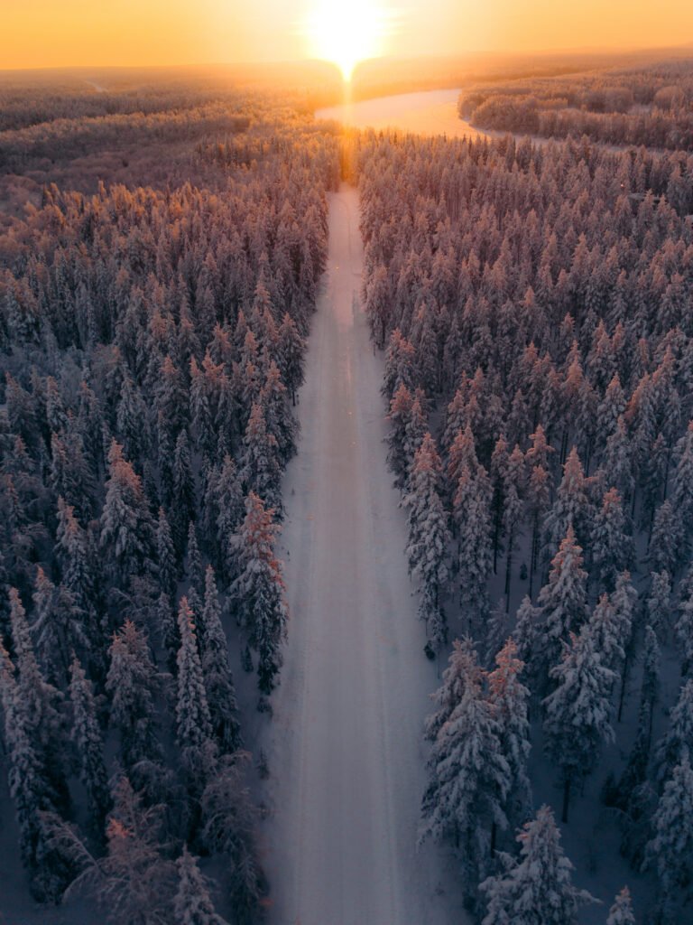 Snow-covered forest road in Finnish Lapland