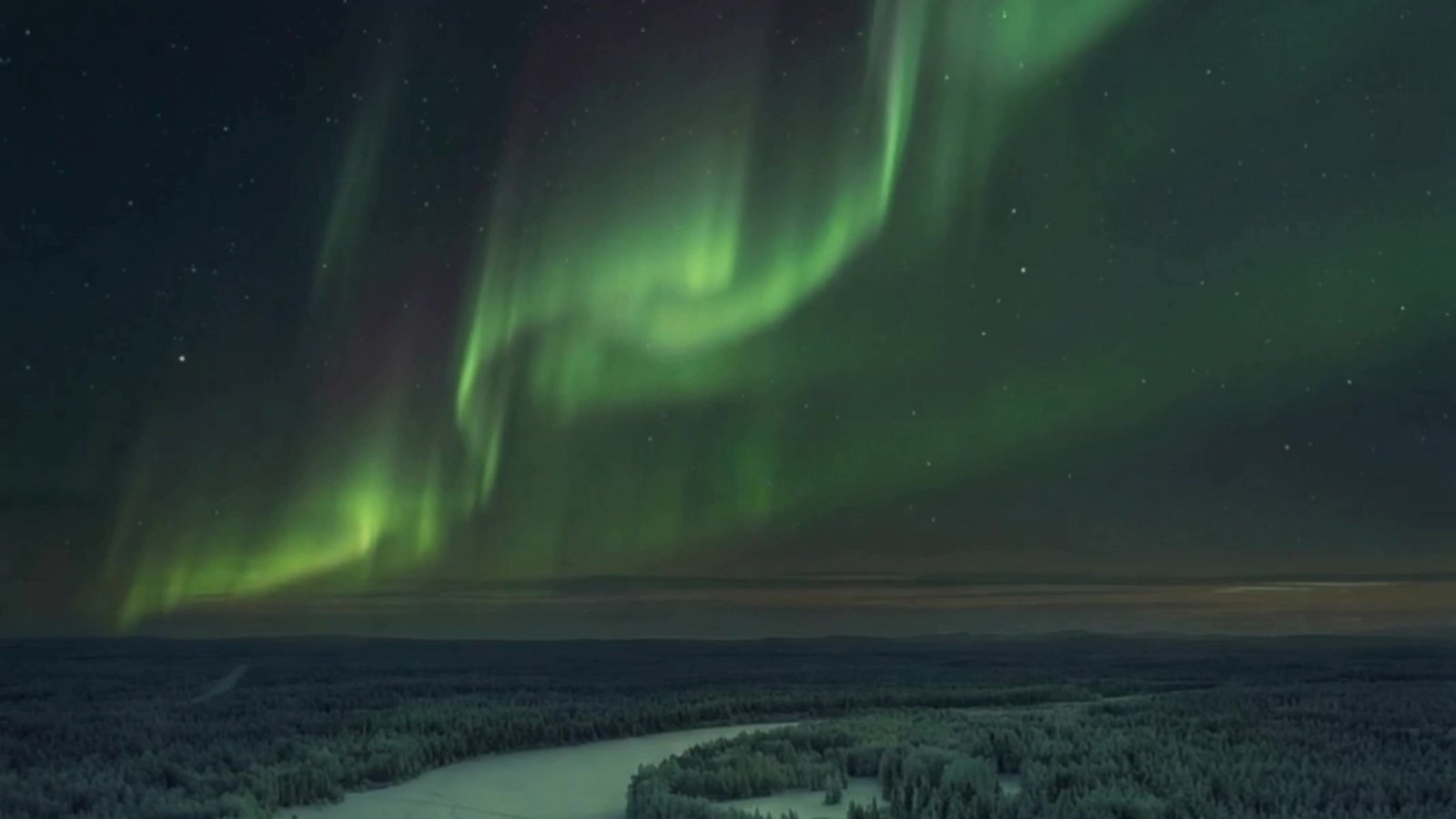 Green northern lights above a snowy Lapland forest at night.