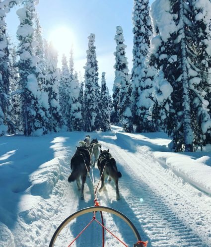 5f444286b67187b1d7d07c9cd452d0efe75dc835